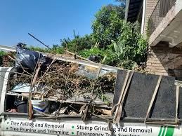 Best Attic Cleanout  in Barrackville, WV