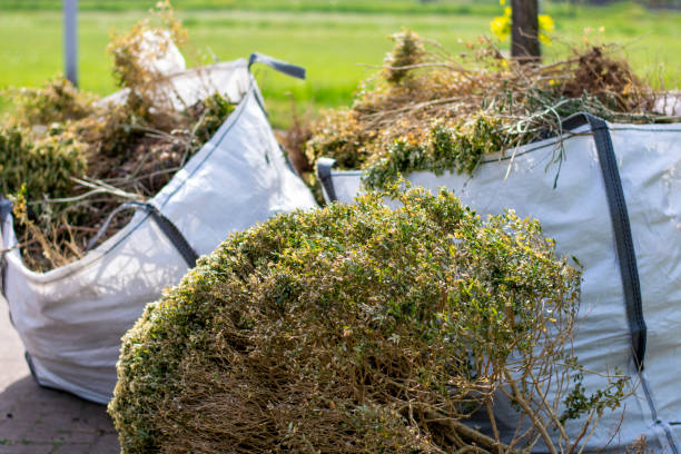 Best Demolition Debris Removal  in Barrackville, WV